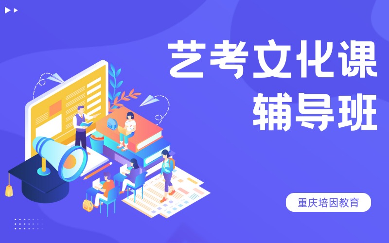 重慶定制個(gè)性化藝考文化課輔導(dǎo)班