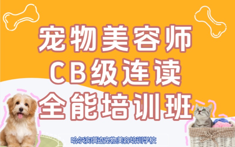 哈尔滨宠物美容师CB连读全能培训班