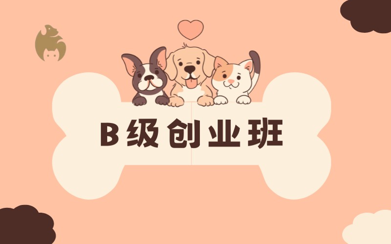 绵阳宠物美容B级创业培训班