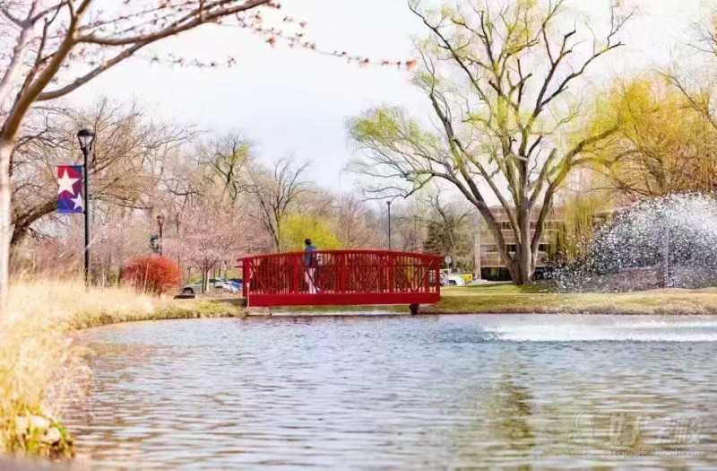 雪兰多大学现场图