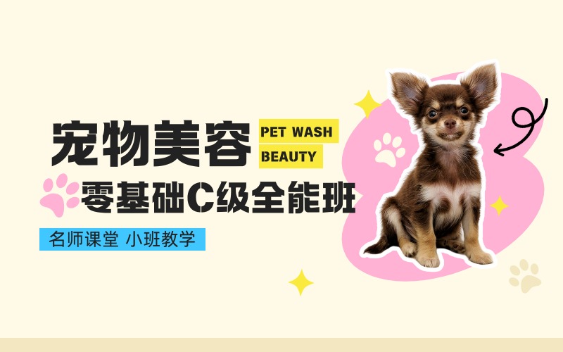 杭州宠物美容零基础C级全能班