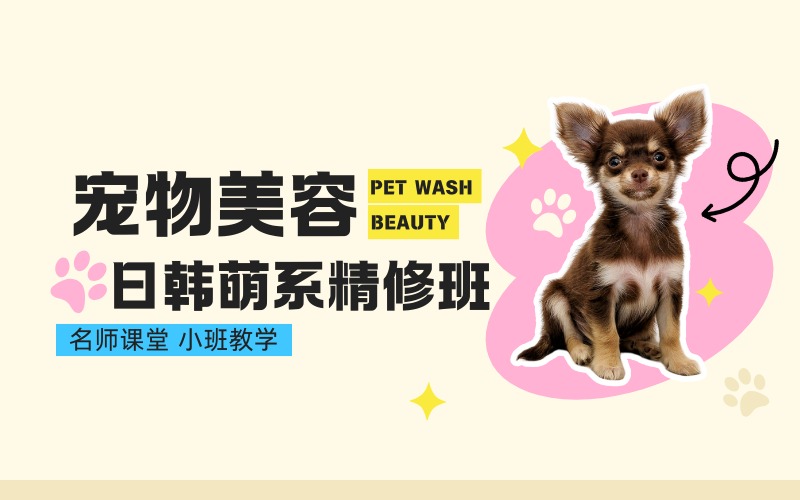 杭州宠物美容日韩萌系精修班