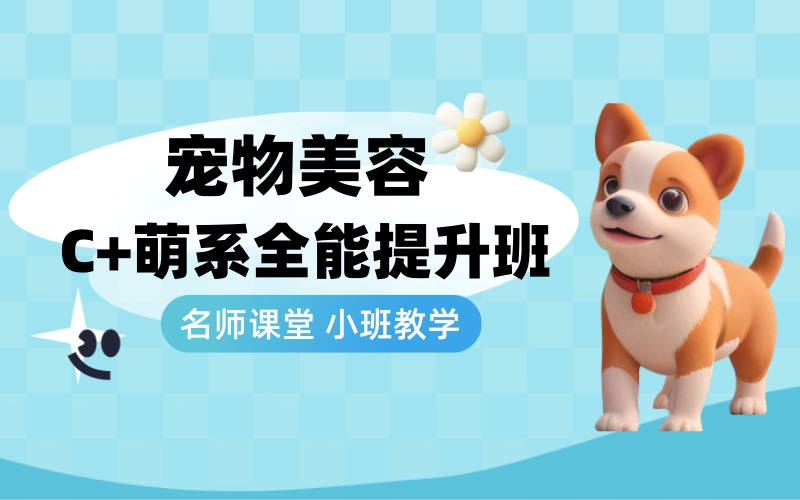 杭州宠物美容C+萌系全能提升班
