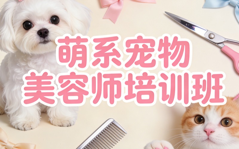 上海萌系宠物美容师培训班
