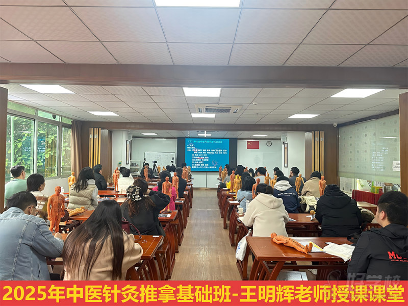 2025年中医针灸推