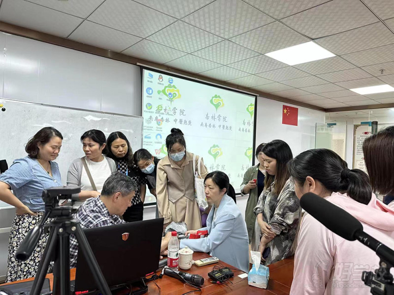 诊断学-切诊（脉诊）