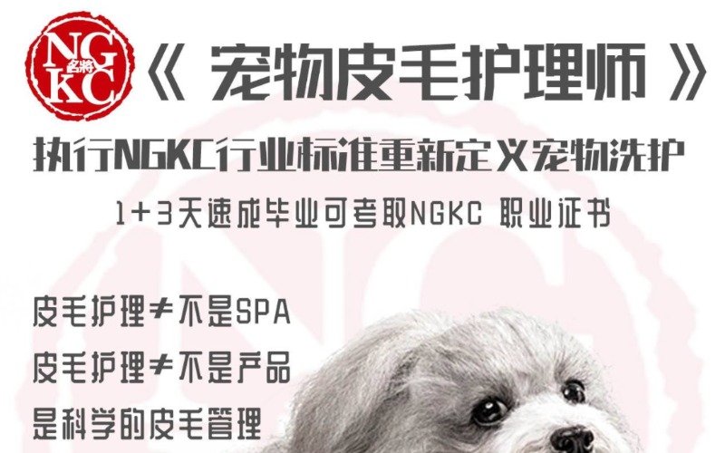 皮毛护理师专业培训课程