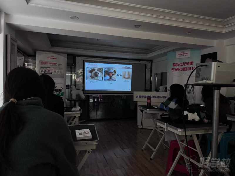 教学现场