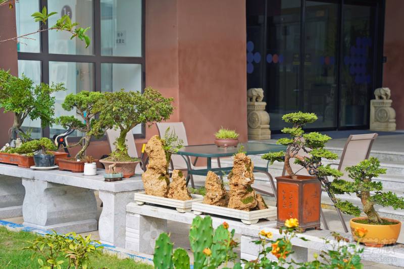 新增绿化-小盆景