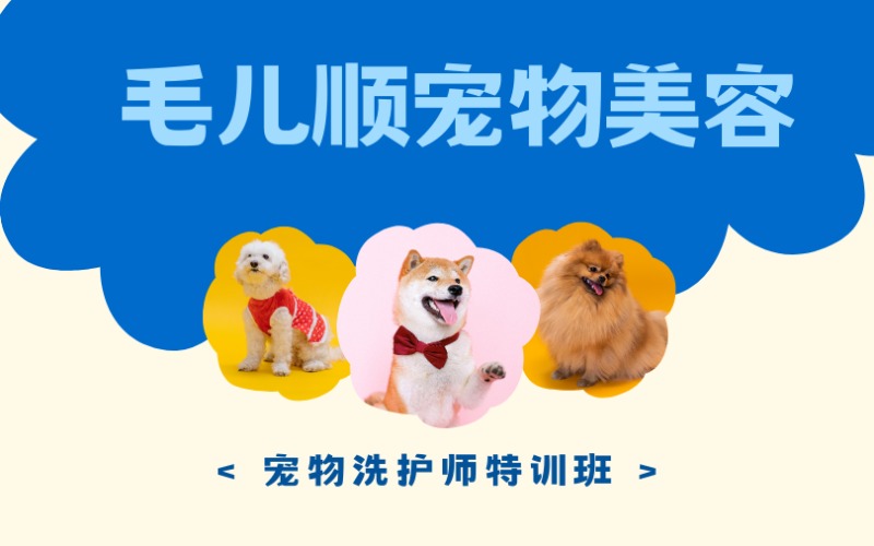 杭州宠物洗护师特训班