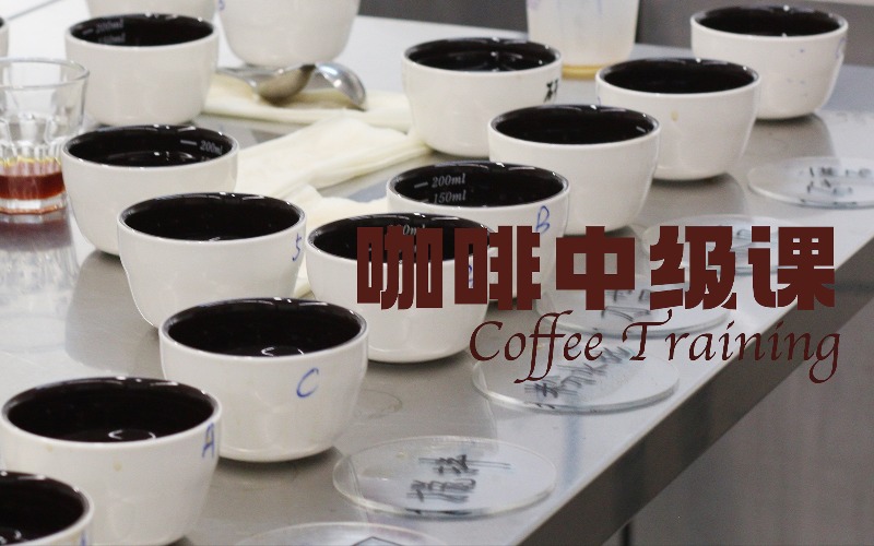 北京中级咖啡师培训班