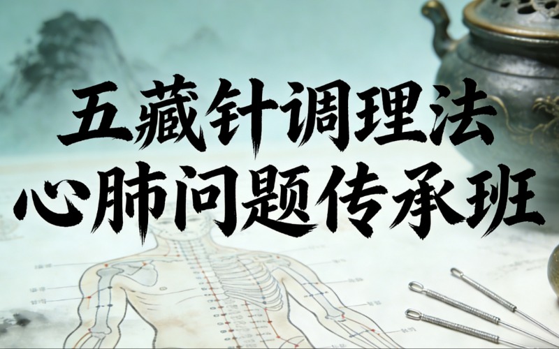聊城五藏针调理法心肺问题传承班