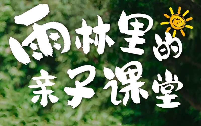 西雙版納&普洱野趣野撒歡·雨林里的親子課堂