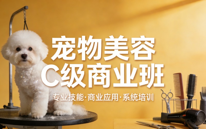 泰州宠物美容C级商业培训班