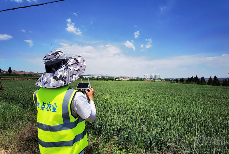 学员植保作业01