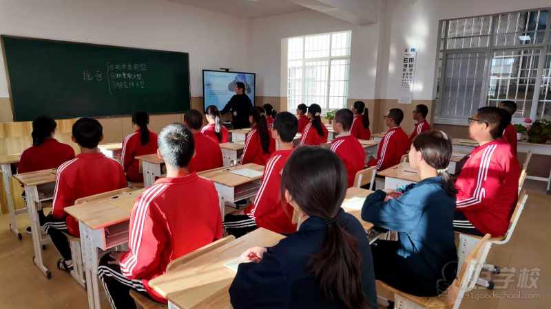 青少年素质教育