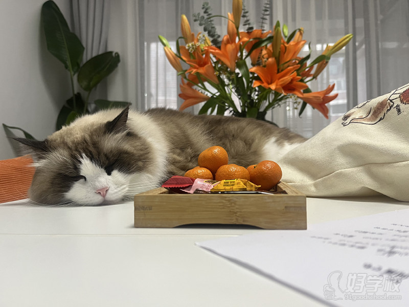 上海长宁教学点1