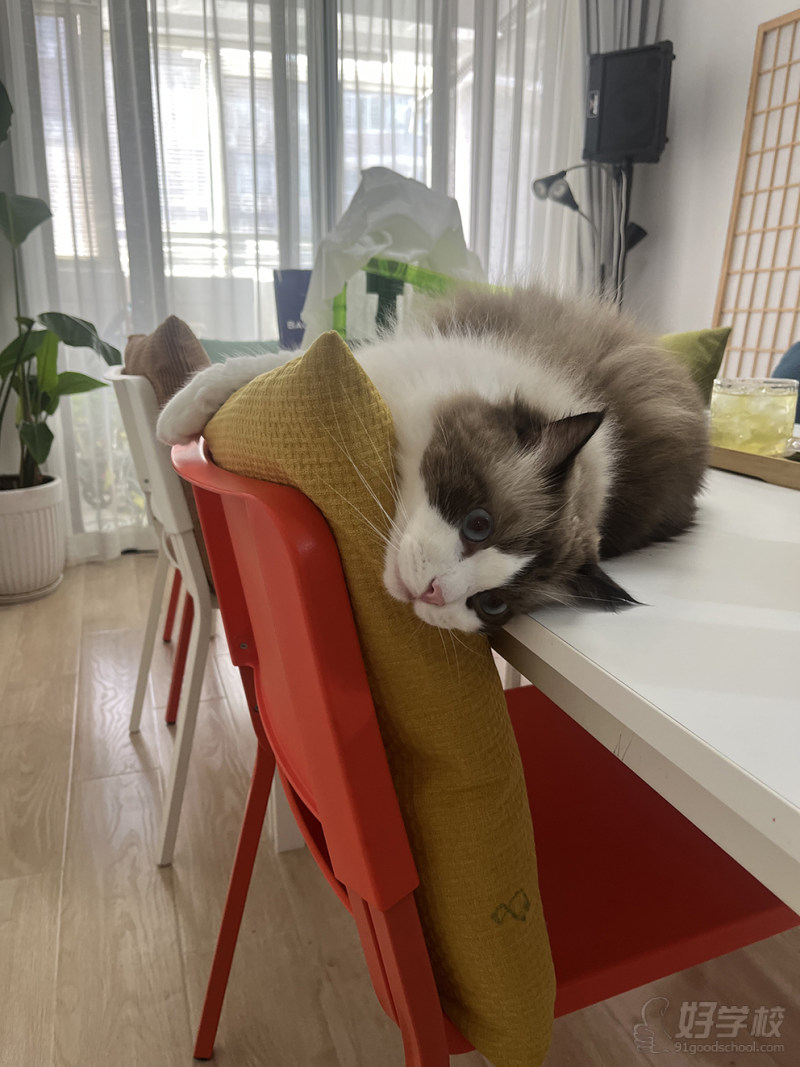 上海长宁教学点4