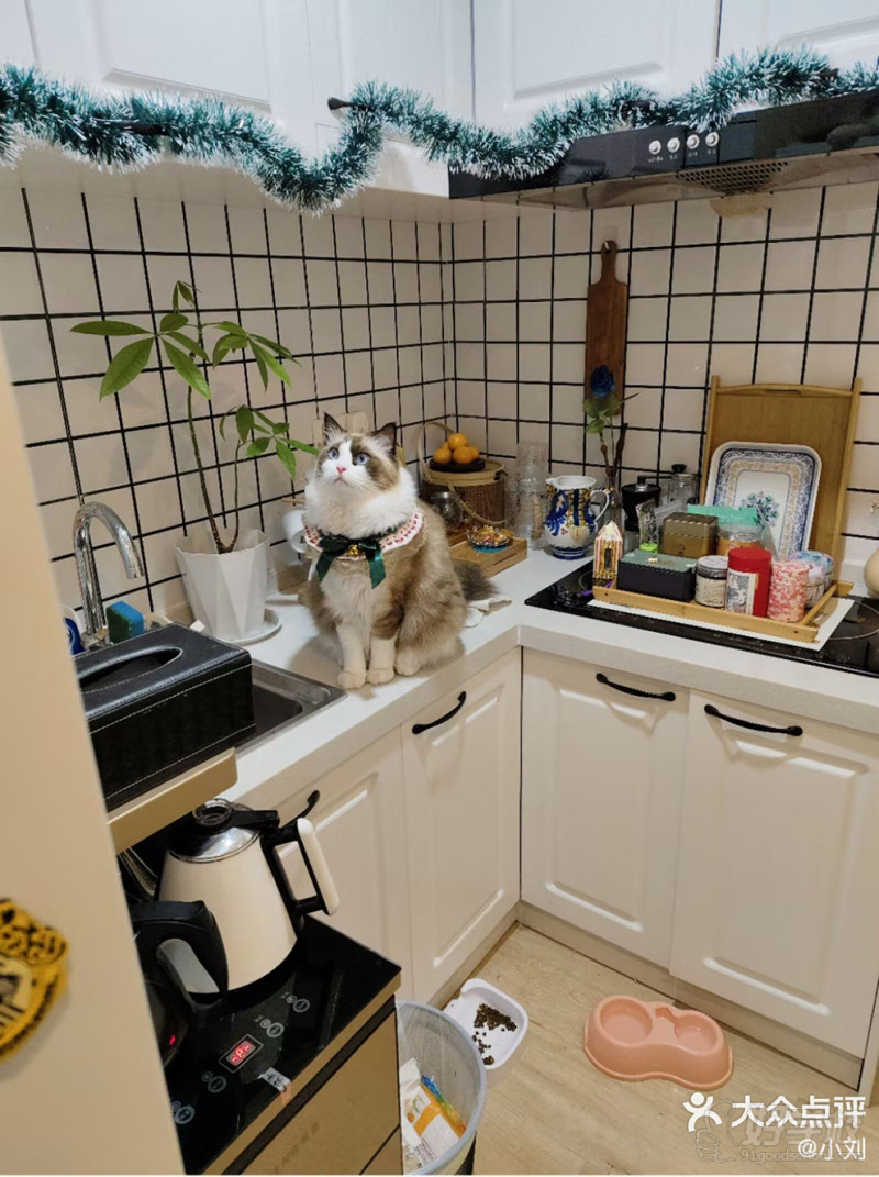 上海长宁教学点5