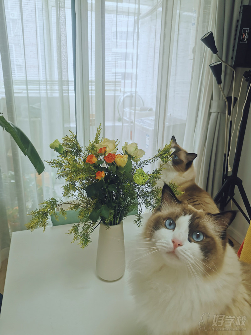 上海长宁教学点6