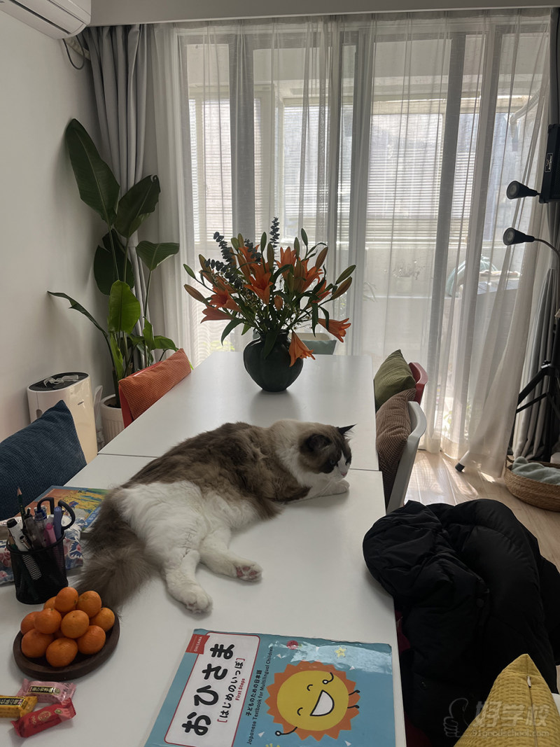 上海长宁教学点8