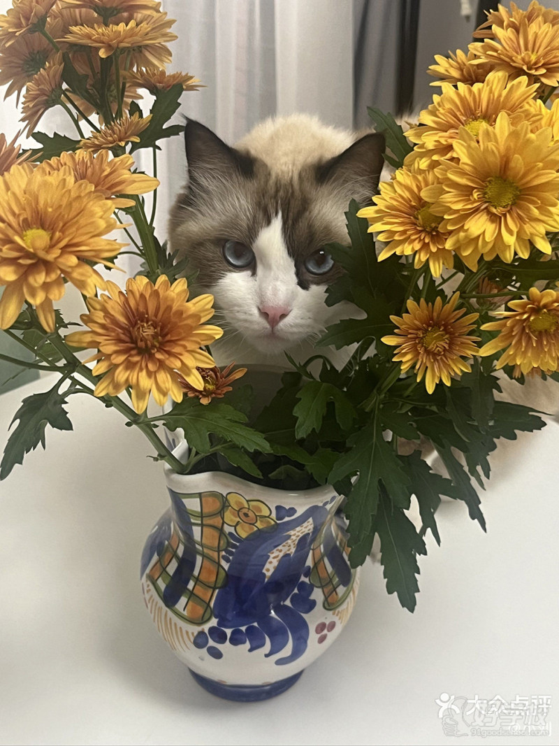 上海长宁教学点9