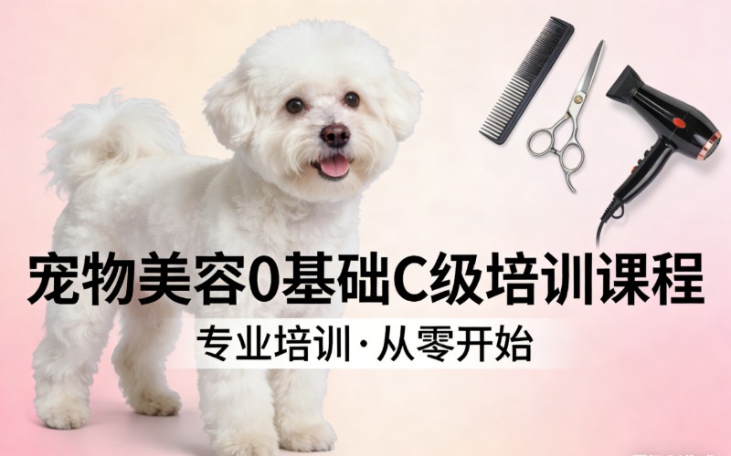 北京寵物美容0基礎(chǔ)C級(jí)培訓(xùn)課程