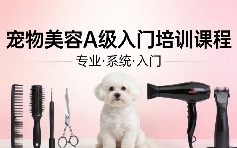 北京寵物美容A級(jí)入門培訓(xùn)課程