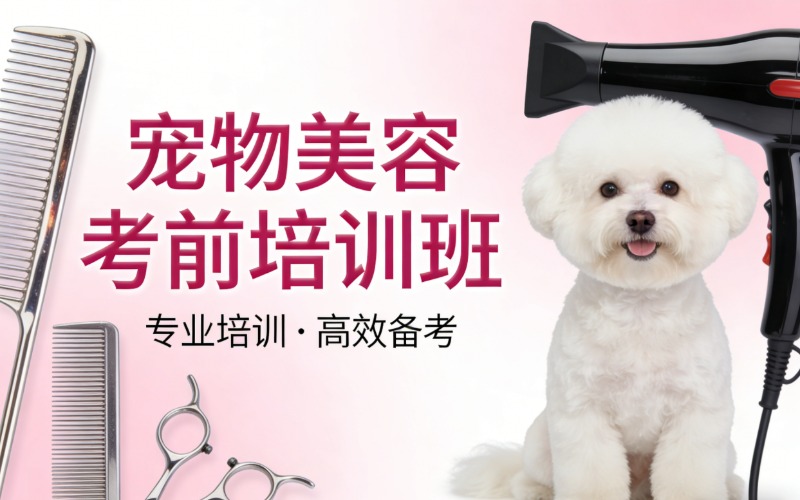北京寵物美容考前培訓(xùn)班