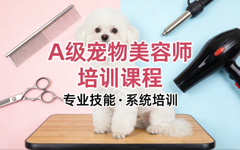 A級寵物美容師專業(yè)培訓(xùn)課程