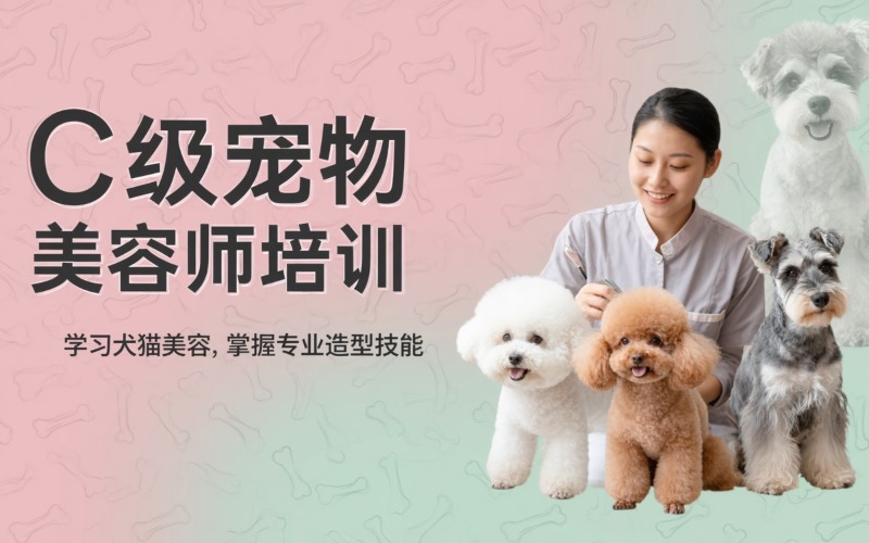 C級寵物美容師培訓(xùn)課程
