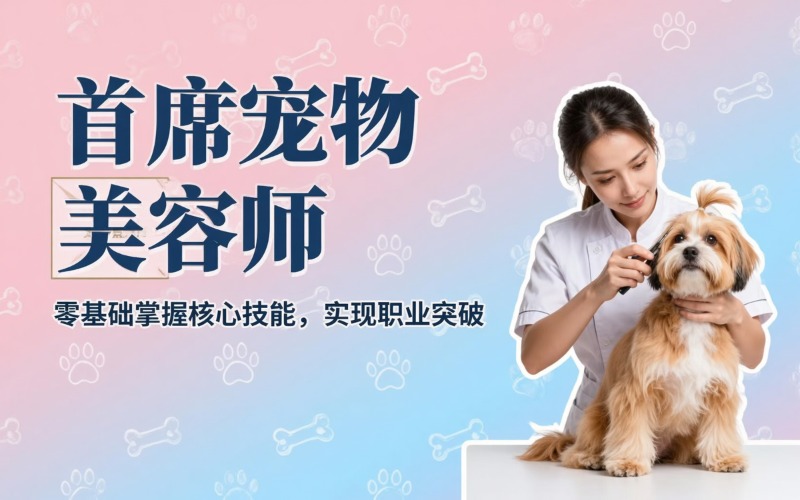 首席寵物美容師培訓(xùn)課程