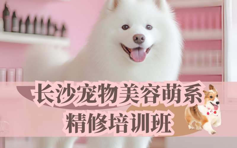 長沙寵物美容萌系精修培訓(xùn)班