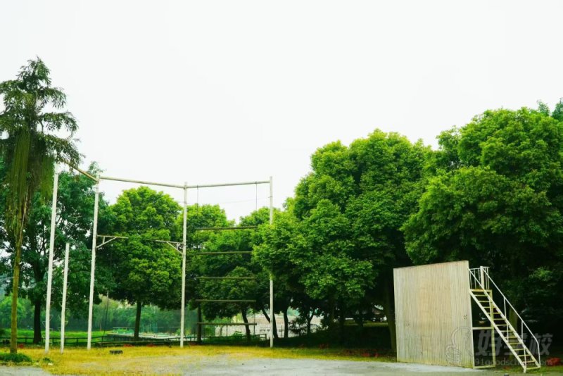 教学场景3