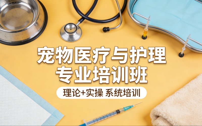 合肥寵物醫(yī)療與護(hù)理專業(yè)培訓(xùn)班