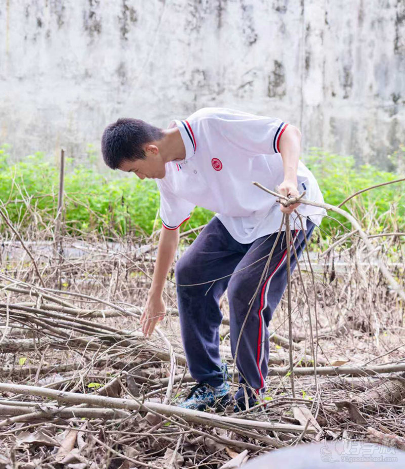 生活场景-野炊 (2