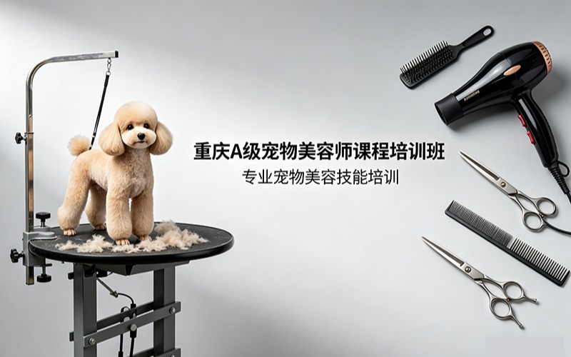 重慶A級寵物美容師課程培訓(xùn)班
