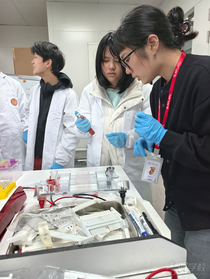 生物实验