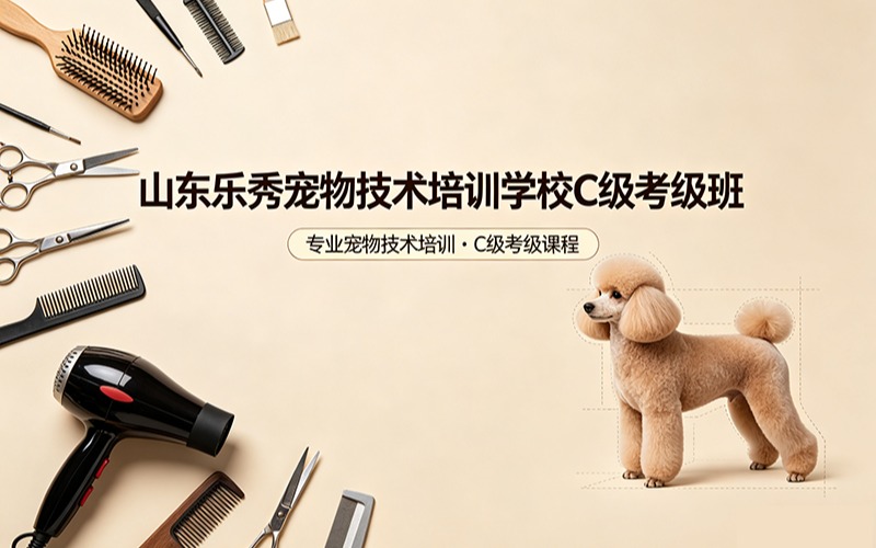 山东乐秀宠物技术培训学校C级考级班