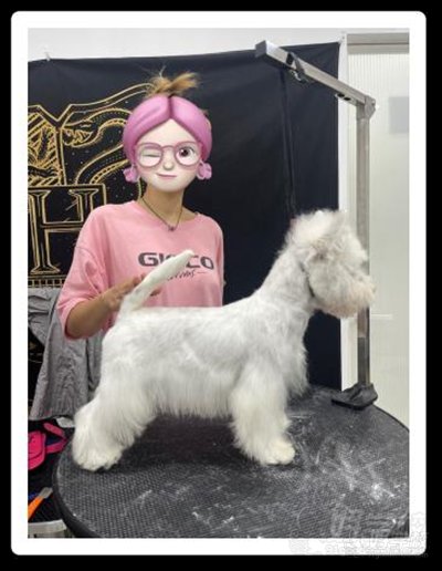 学员风采3