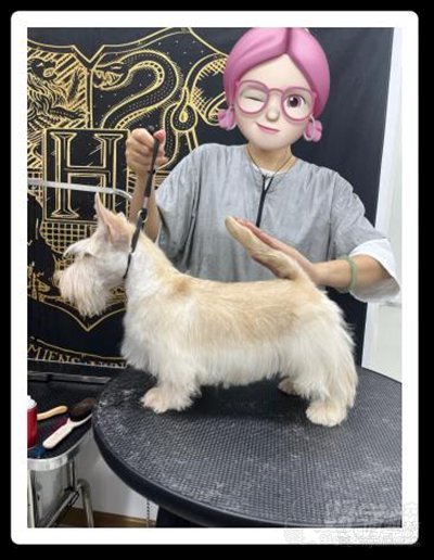 学员风采4