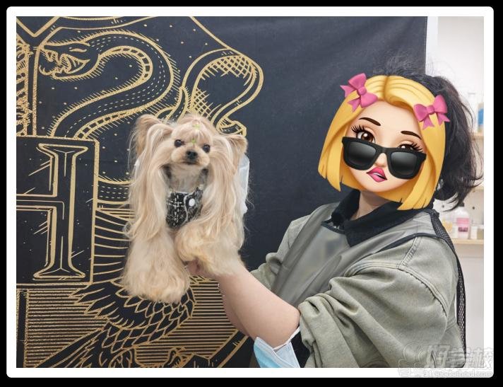 学员风采9