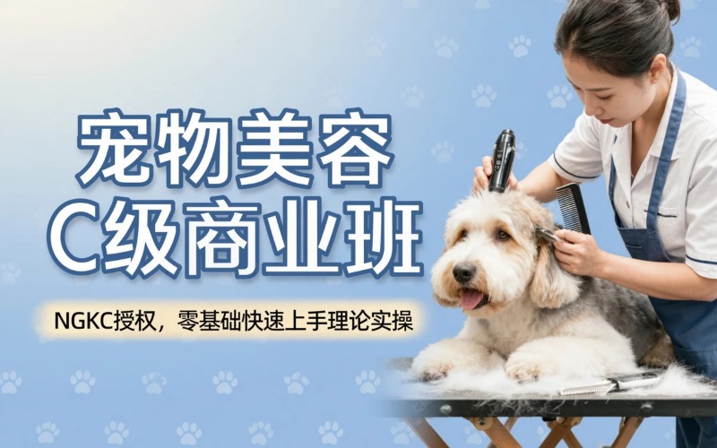 泰州專業(yè)寵物美容C級商業(yè)培訓(xùn)班