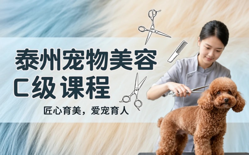 泰州寵物美容C級課程專業(yè)培訓(xùn)班