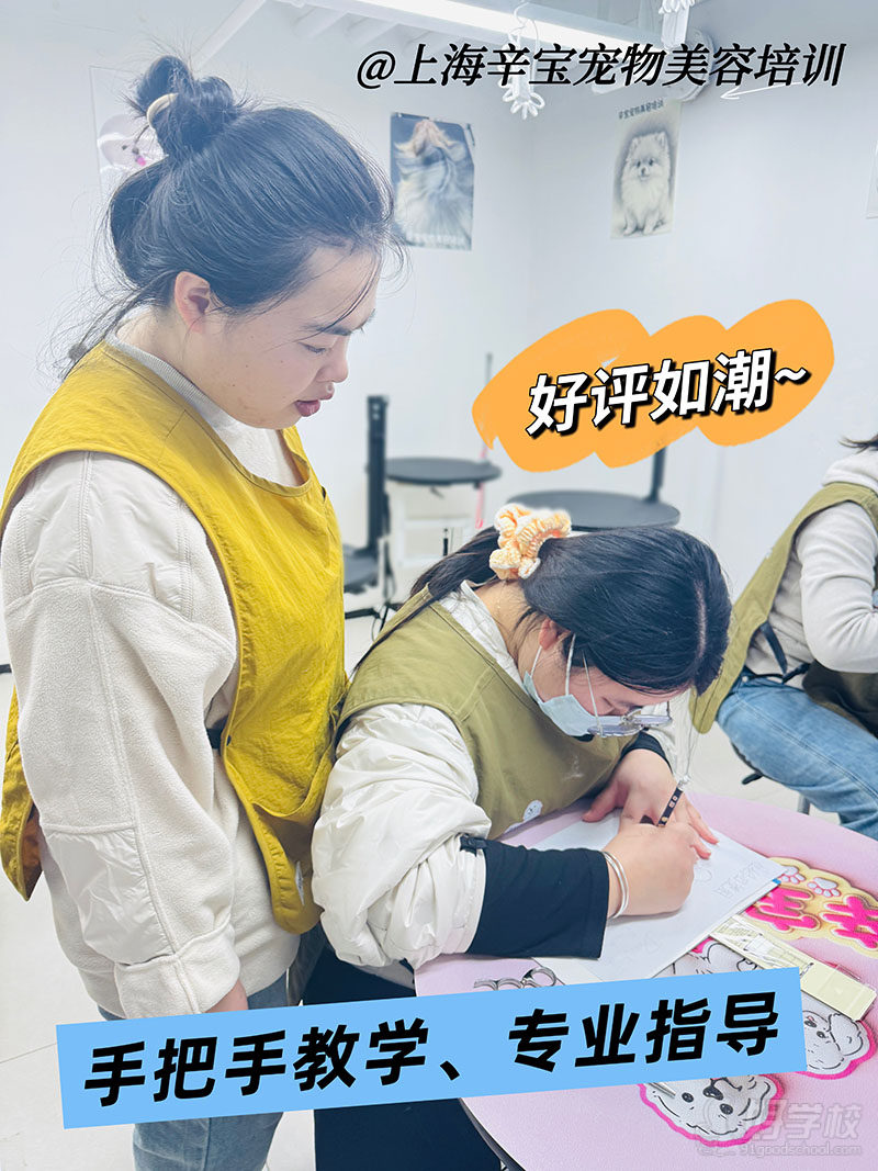 教学现场