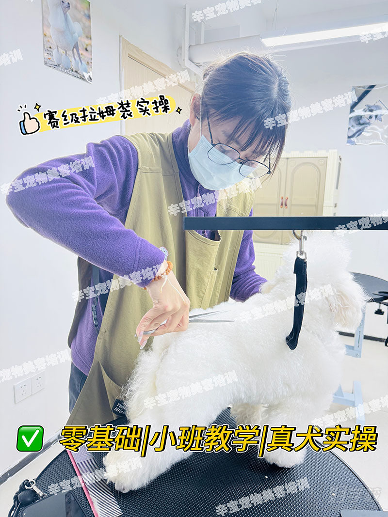 教学现场