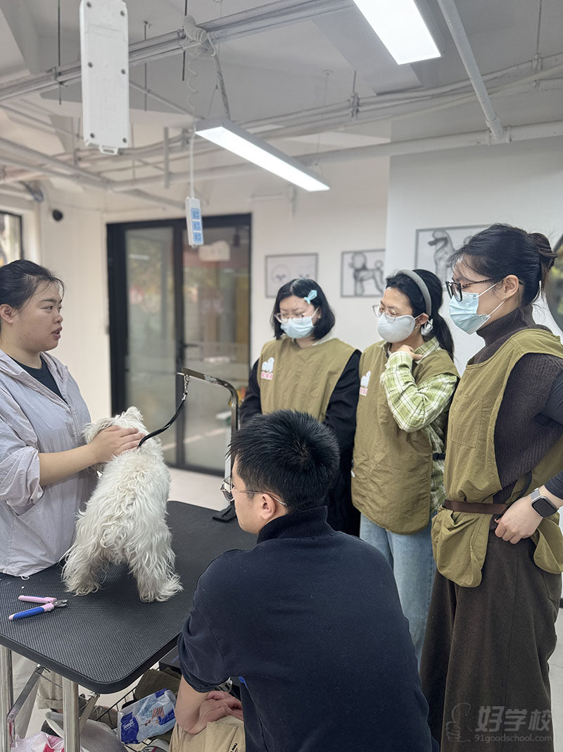 教学现场