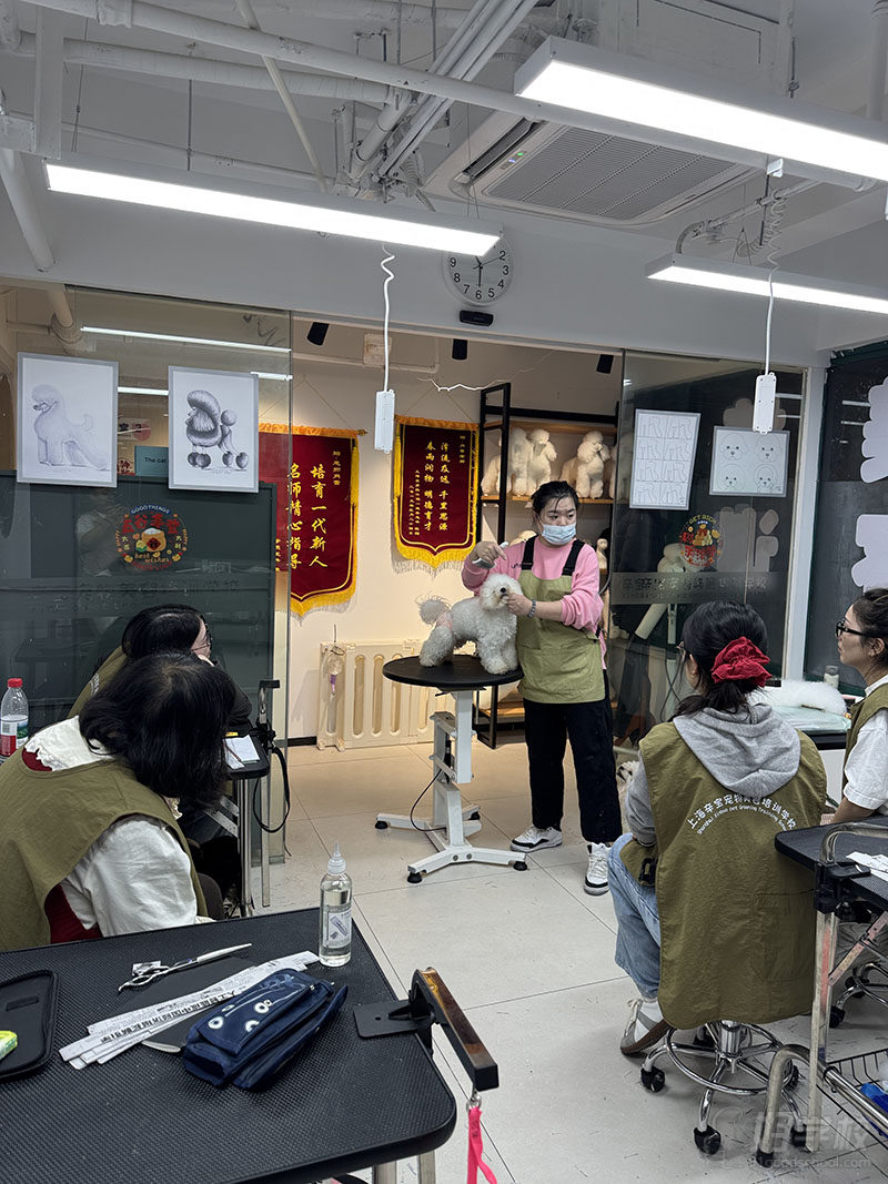 教学现场