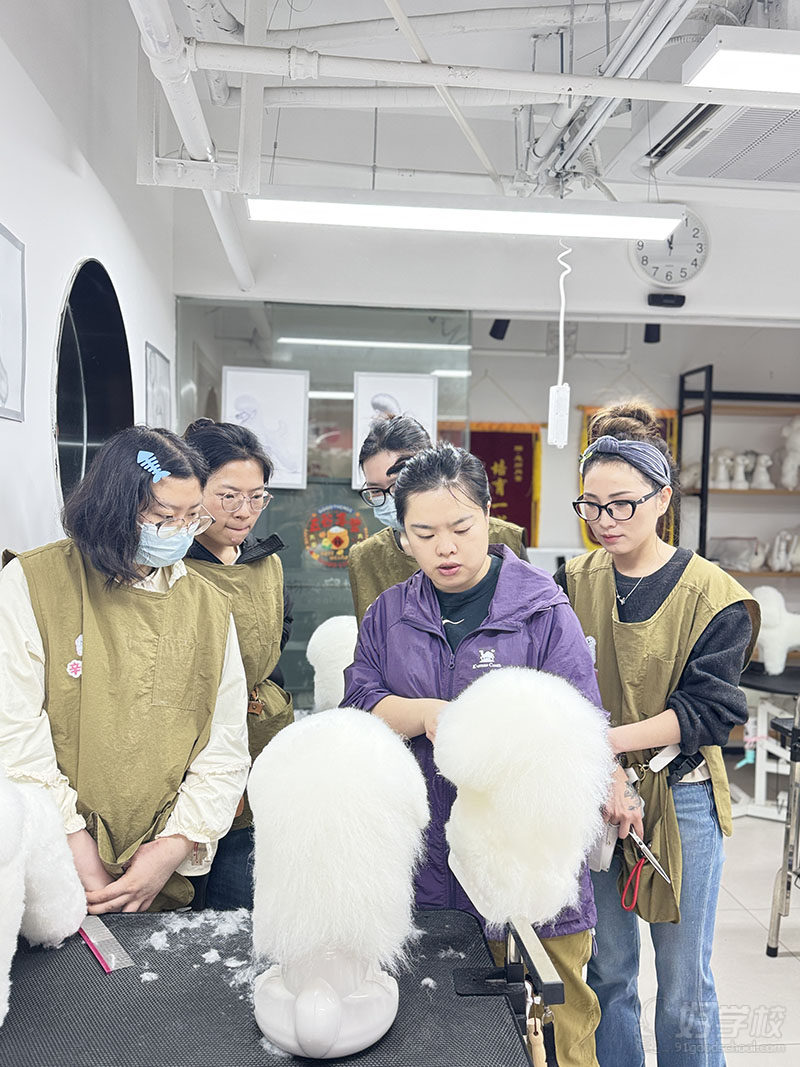教学现场