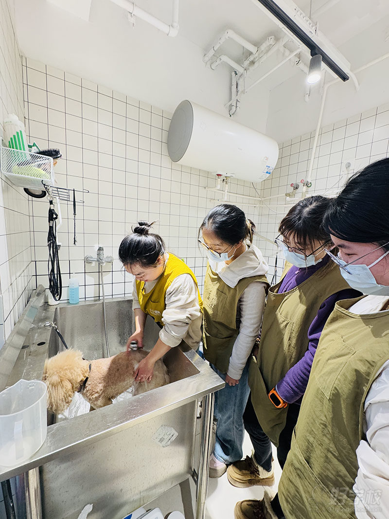 教学现场